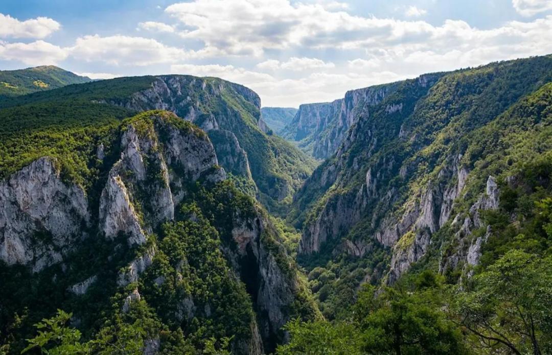 Vila Tea Borsko Jezero别墅 外观 照片